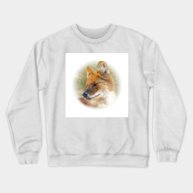 Dhole-asian wild dog Crewneck Sweatshirt by Guardi